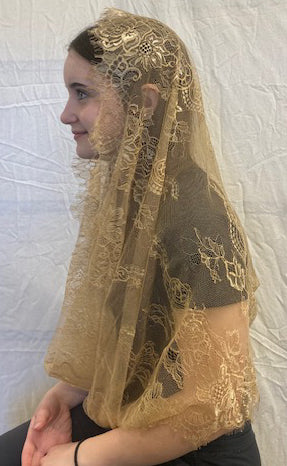 Eyelash Lace Infinity Veil