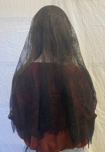 Eyelash Lace Infinity Veil