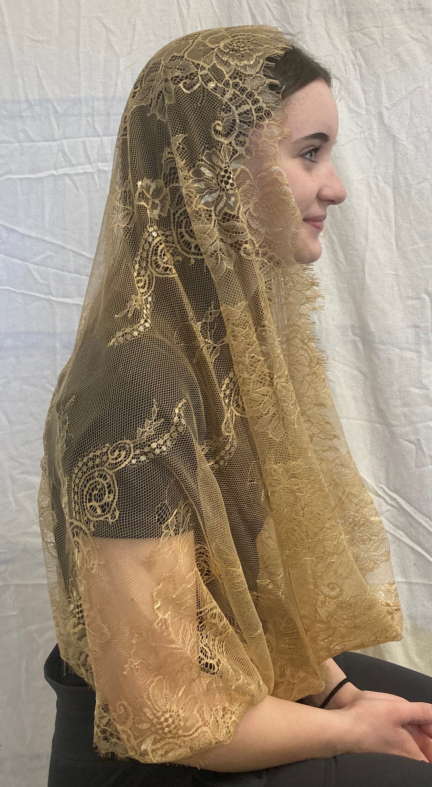 Eyelash Lace Infinity Veil