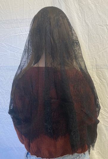 Eyelash Lace Infinity Veil